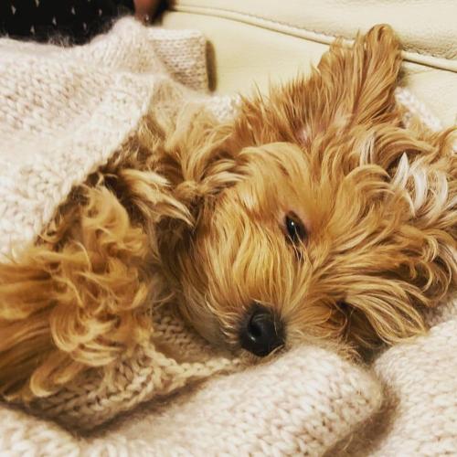 Наши выпускники