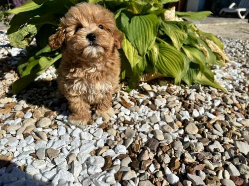 Наши выпускники 