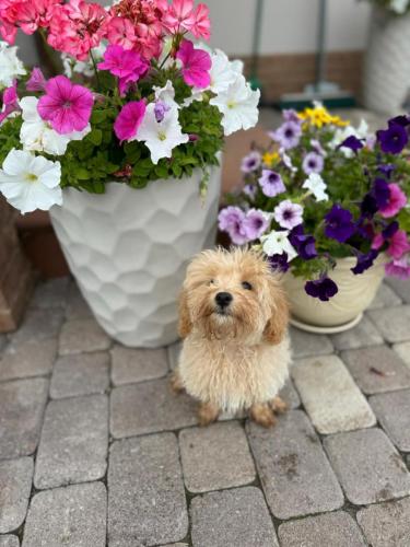 Наши выпускники 