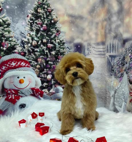 Наши выпускники 