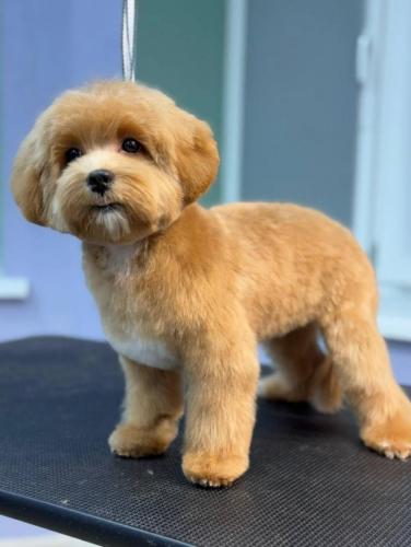 Наши выпускники 