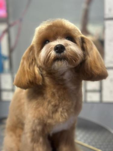 Наши выпускники