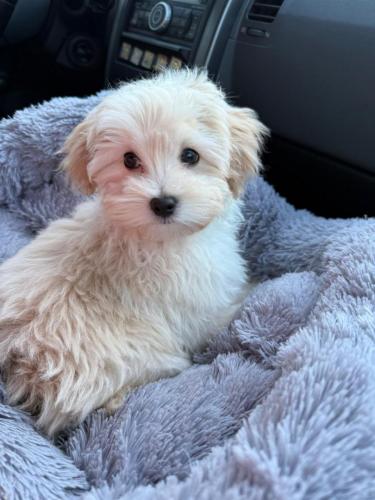 Наши выпускники 