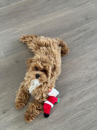 Наши выпускники 