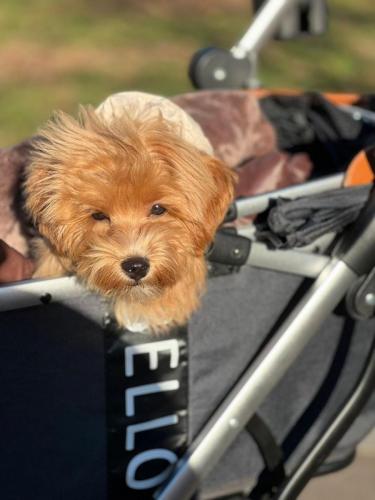 Наши выпускники 