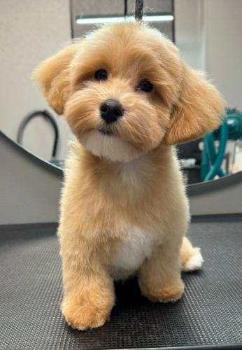 Наши выпускники 