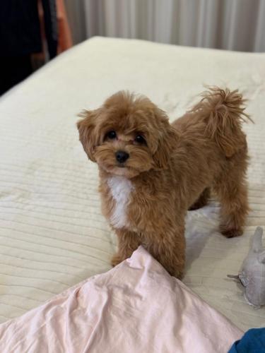 Наши выпускники 