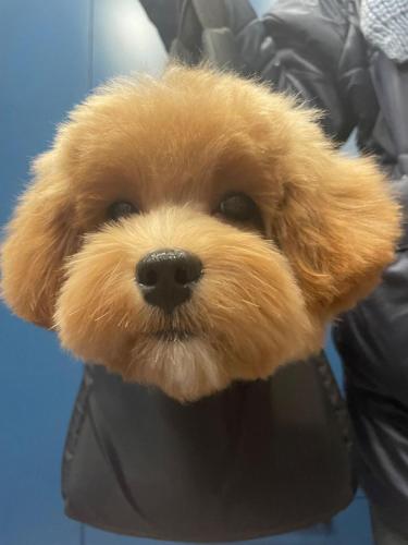 Наши выпускники 