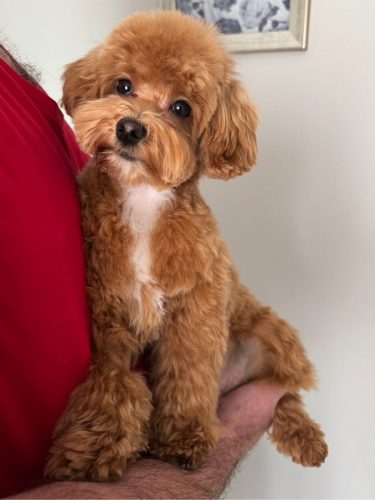 Наши выпускники 