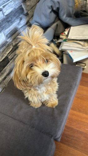 Наши выпускники 