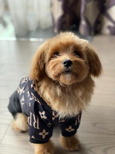 Наши выпускники