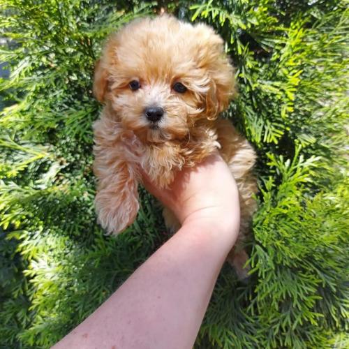 WhatsApp-Image-2023-06-23-at-19.25.39