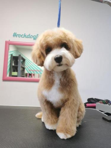 Наши выпускники