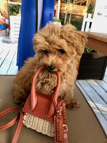 Наши выпускники 