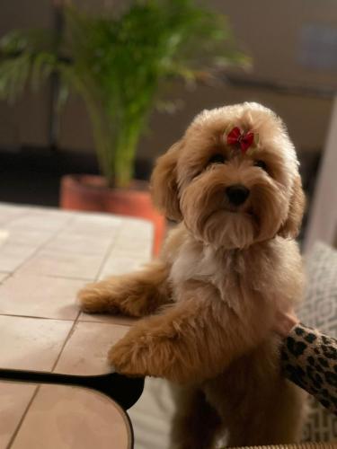 Наши выпускники