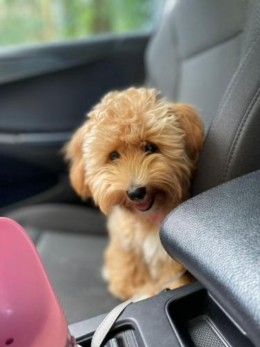 Наши выпускники 