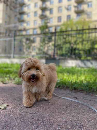 Наши выпускники 