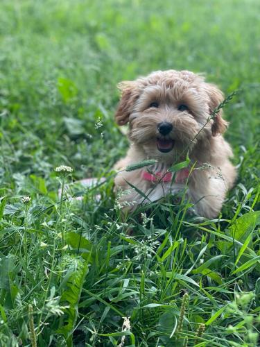 Наши выпускники 