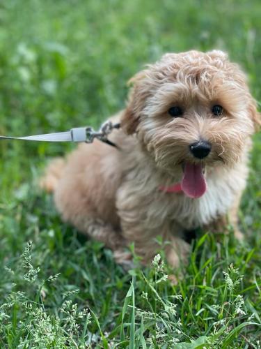 Наши выпускники