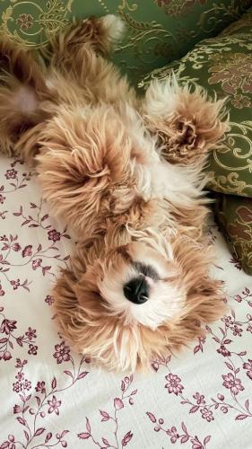 Наши выпускники 