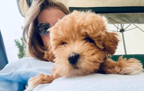 Наши выпускники 