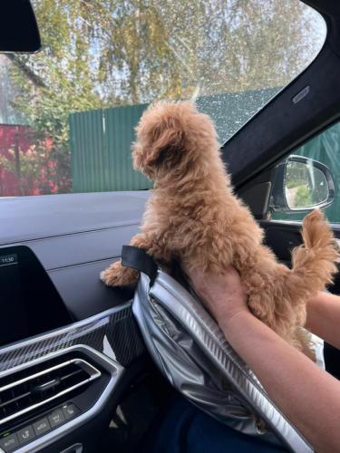 Наши выпускники 