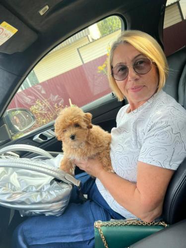 Наши выпускники 