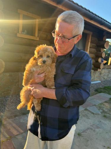 Наши выпускники 