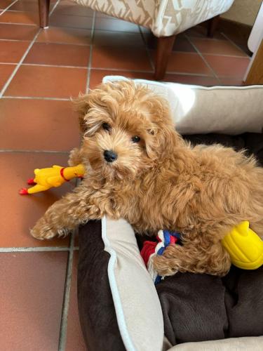 Наши выпускники 