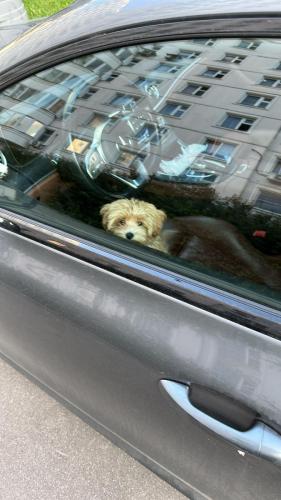 Наши выпускники 