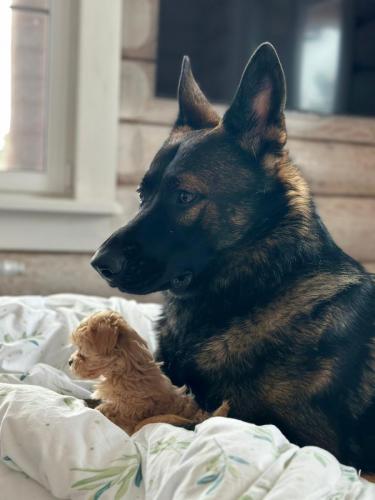 Наши выпускники 