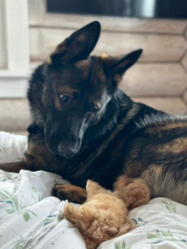 Наши выпускники 