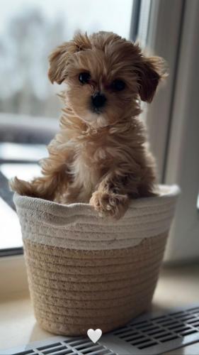 Наши выпускники 