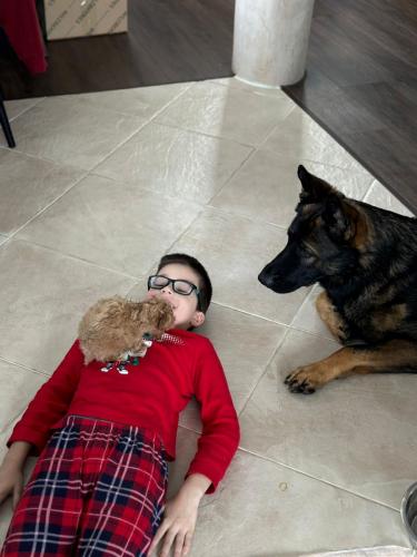 Наши выпускники 