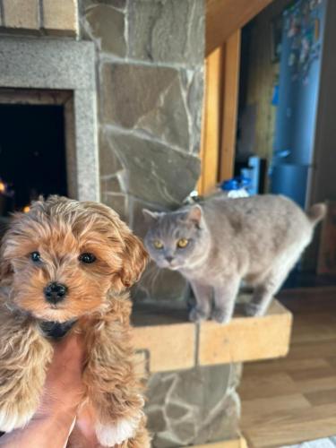 Наши выпускники 