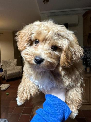 Наши выпускники 