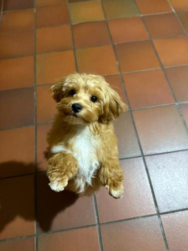 Наши выпускники 