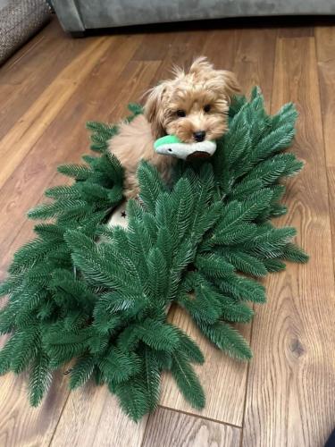 Наши выпускники 