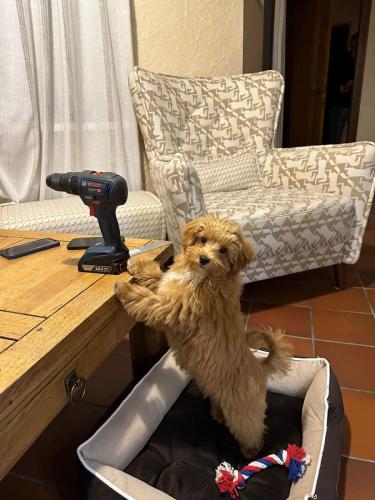 Наши выпускники 