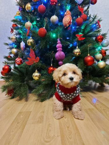 Наши выпускники 