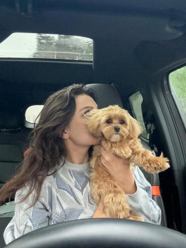 Наши выпускники