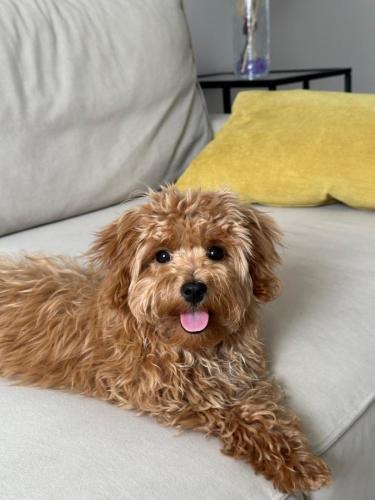 Наши выпускники 