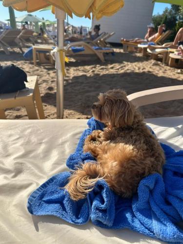 Наши выпускники 