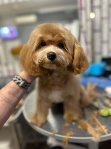 Наши выпускники