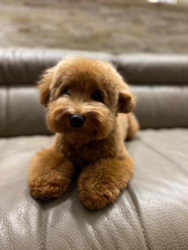 Наши выпускники