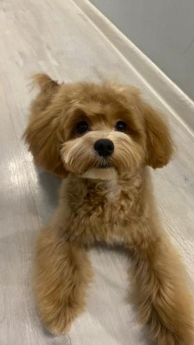 Наши выпускники