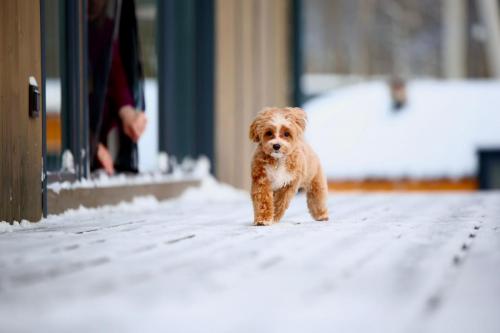 Наши выпускники