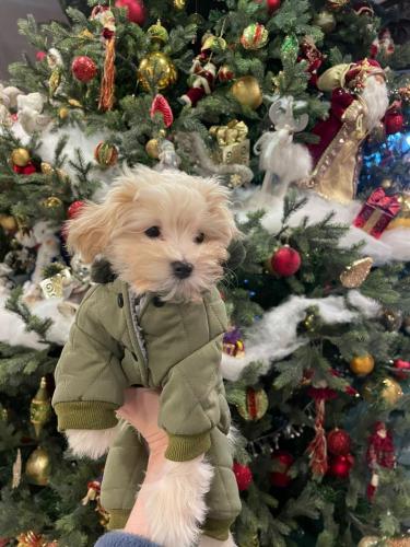 Наши выпускники