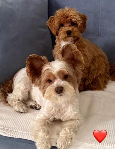 Наши выпускники