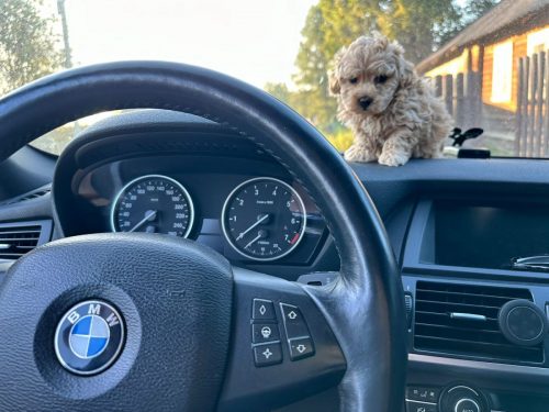 WhatsApp-Image-2025-07-30-at-21.55.04